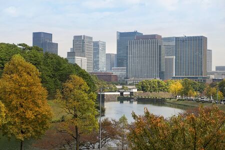 Tokyo, Japan - november 09, 2019: cityscape of Tokyo, view of the central business district of Tokyo from a city public parkのeditorial素材