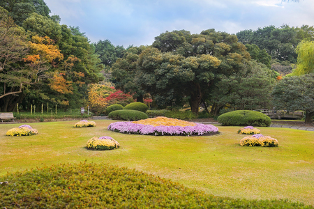 Shinjuku Gyoen National Garden in Tokyoのeditorial素材