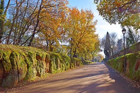 picturesque oak alley in the park - Villa Adriana (Hadrian's Villa) in Tivoli, neighborhood of Rome, Italyの写真素材
