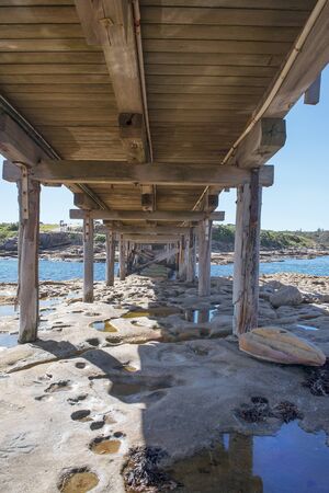 Sydney coastal walk: wooden footbridge to the famous Bare Island, Kamay Botany Bay National Park, New South Wales, Australiaの写真素材