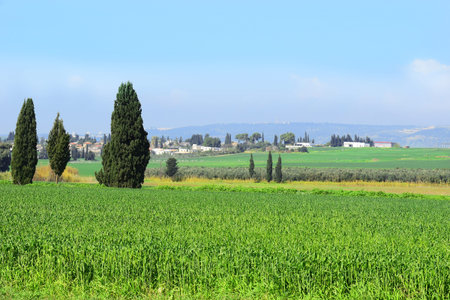 countryside landscape with a view of the Jezreel Valley, Lower Galilee, Israel
