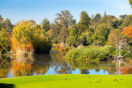 picturesque landscape in the public park - Queen Victoria Gardens, Melbourne, Australiaの写真素材