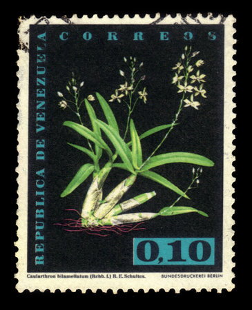 Venezuela - CIRCA 1962: A postage stamp printed in Berlin ( Germany ) shows Caularthron bilamellatum, series Orchids, circa 1962のeditorial素材