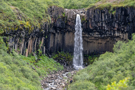 Svartifoss waterfall is located in the Skaftafell Nature Reserve in Southeast Icelandの写真素材
