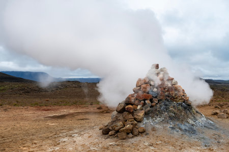 magnificent wildlife landscapes in Icelandの写真素材