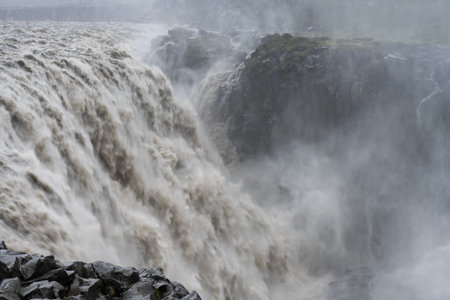 magnificent wildlife landscapes in Iceland
