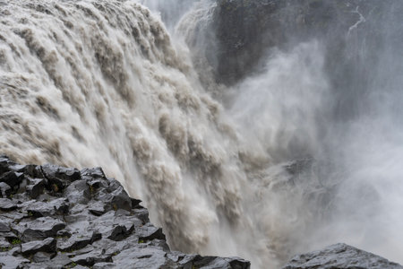 magnificent wildlife landscapes in Icelandの写真素材