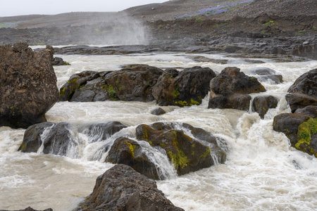 magnificent wildlife landscapes in Icelandの写真素材