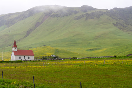 magnificent wildlife landscapes in Icelandの写真素材
