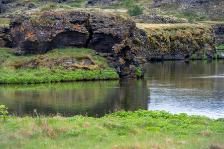 magnificent wildlife landscapes in Icelandの写真素材