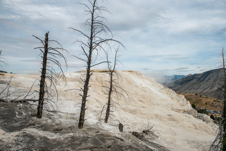 magnificent wild landscape in the Yellowstone National Park, Wyoming, United states of Americaの写真素材