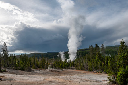 Yellowstone National Park, Wyoming, USAの写真素材