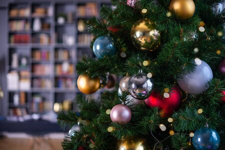 christmas tree in the libraryの写真素材