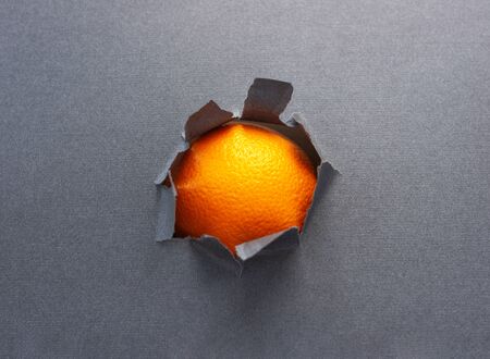 Orange in a torn  of dark paper.の写真素材