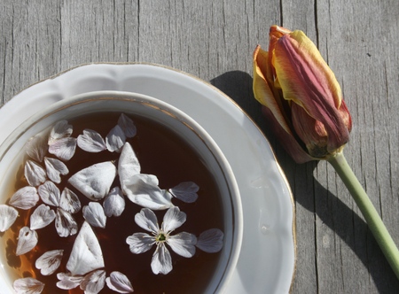 A cup of tea on the wooden tableの写真素材