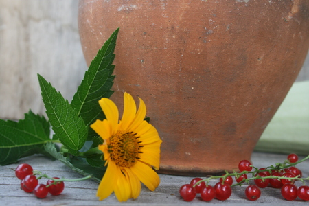 still lifeの写真素材