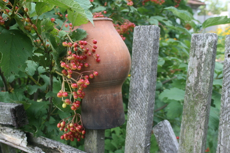 fenceの写真素材