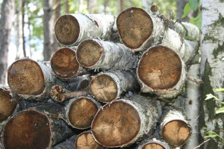 firewoodの写真素材