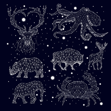 Constellations deer, bison, elephant, rhinoceros, crab, elephant, octopus, vectorのイラスト素材