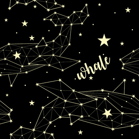 Whale constellation graphicのイラスト素材