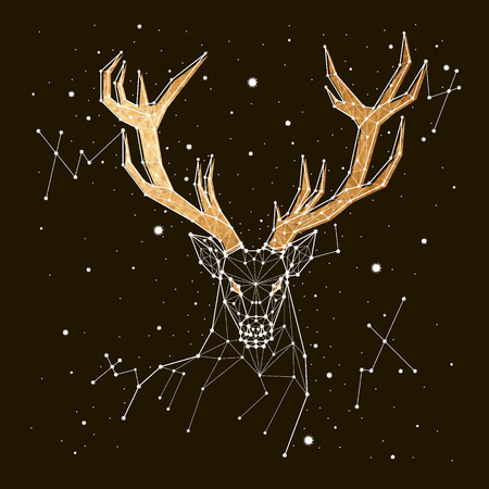 starry sky constellation deerのイラスト素材