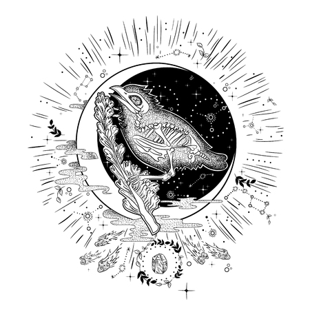 vintage retro vintage style engraving. horoscope, constellation, zodiac, space, star, vector illustrationのイラスト素材