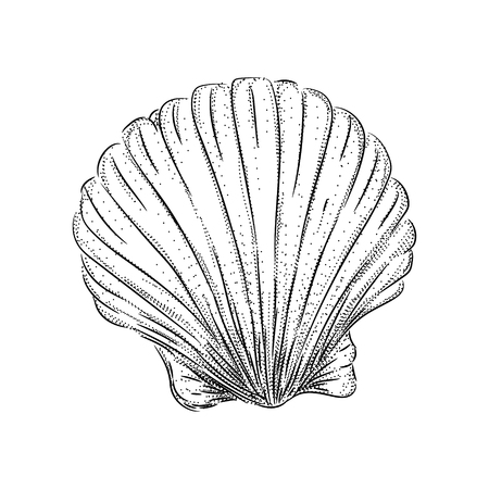 vintage retro vintage style engraving. horoscope, constellation, zodiac, space, star, vector illustrationのイラスト素材