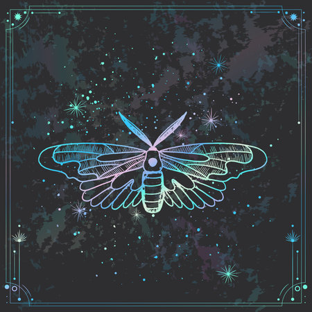 Hand drawn dragonfly on cosmic background. Vector illustration in vintage style.