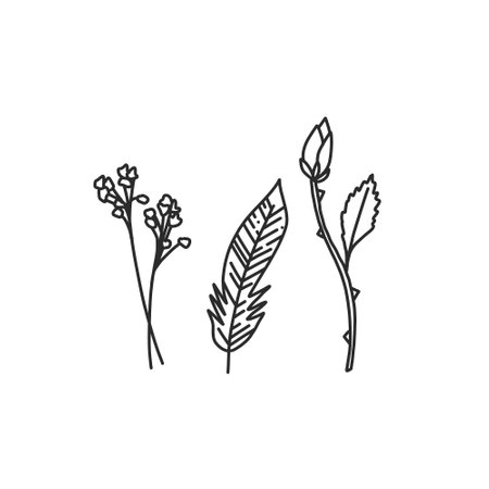 Feathers sketch icon in doodle style. Vector illustration.のイラスト素材