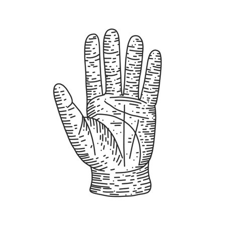 Hand in glove sketch engraving vector illustration. Scratch board style imitation. Black and white hand drawn image.のイラスト素材