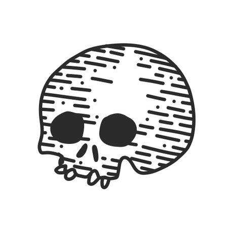 Skull doodle icon, vector graphics, a linear pattern on a white background.のイラスト素材