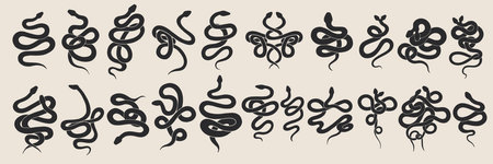 snake icon set. Vector illustration of snake icons for web design