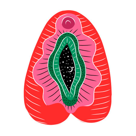 Stylized colorful vector illustration of a seashell isolated on a white background.のイラスト素材