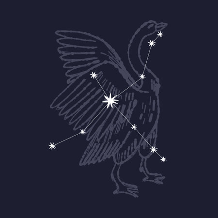 Vector image of the silhouette of a bird with a star in its beakのイラスト素材