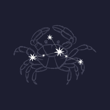 Vector illustration of a crab on a dark blue background with stars.のイラスト素材