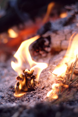 cone and wood is in fire