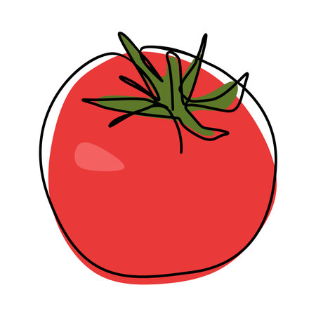 tomato in continuous single line drawing style. colorful vector illustration.のイラスト素材
