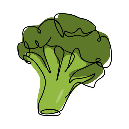 broccoli in continuous single line drawing style. vector graphics.のイラスト素材