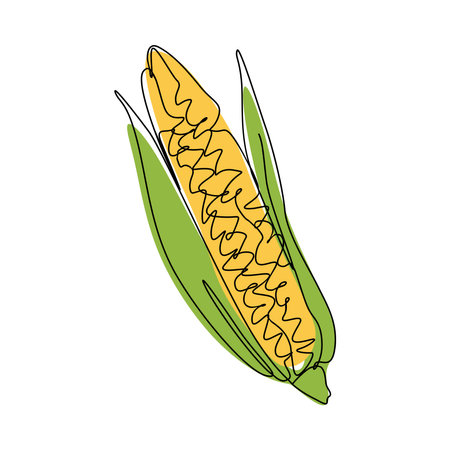 corn in one continuous single line drawing style. graphic vector.のイラスト素材