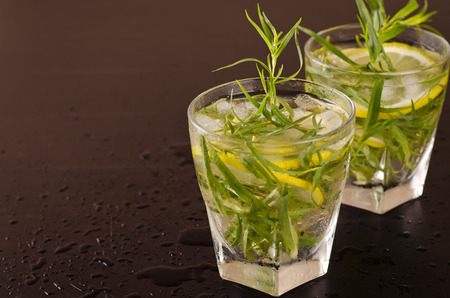 Mojito cocktail with fresh tarragonの写真素材