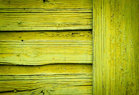 Wood Texture Background with natural pattern, green colorの写真素材