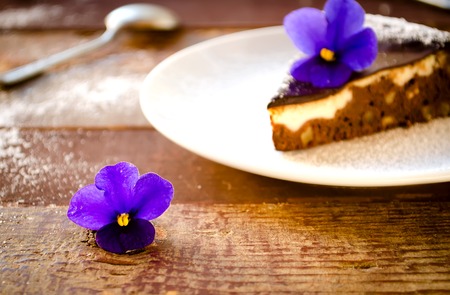 Homemade chocolate cake with cream cheese, walnuts and flowers, sprinkled with sugar powderの写真素材