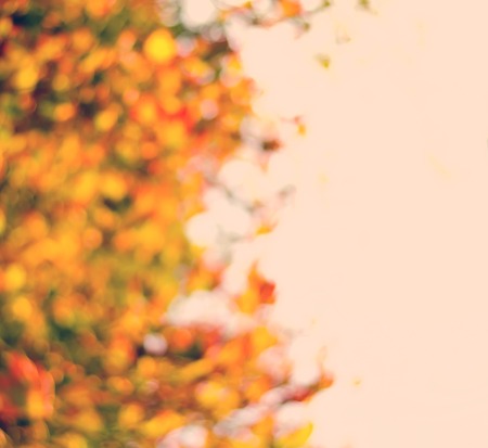 Blurred background of golden autumn leaves with bokeh for frameの写真素材