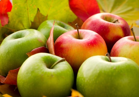 Red and green apples with autumn maple leaves. Fall background.の写真素材