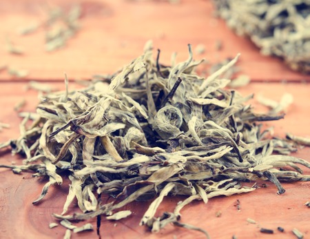 Chinese pressed white tea, silver needle. Selective focusの写真素材