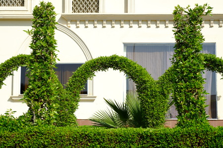Tree and flowers in hotel garden. Selective focusの写真素材