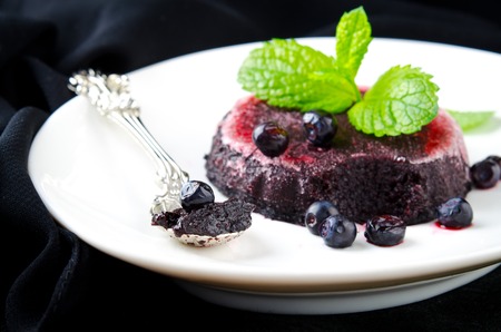 Homemade refreshing organic blueberry sorbet on a white plate with mint, on black backgroundの写真素材