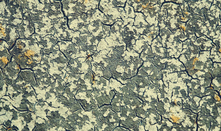 Old stone wall texture background, colorful and cracked, toned