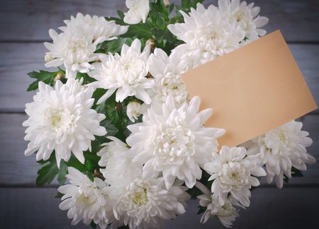 White Chrysanthemum in flower pot with gift, greeting card, on grey wooden backround.の写真素材