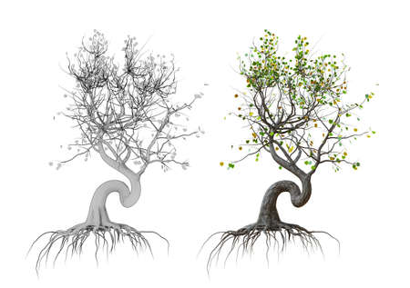Strongly curved tree with roots. Two types of black and white and 3D rendering. Unusual appearance.の写真素材